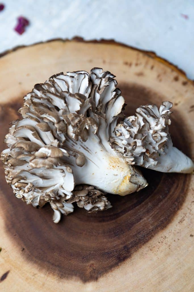 A hen of the woods, or also known as miatke on a wooden plate