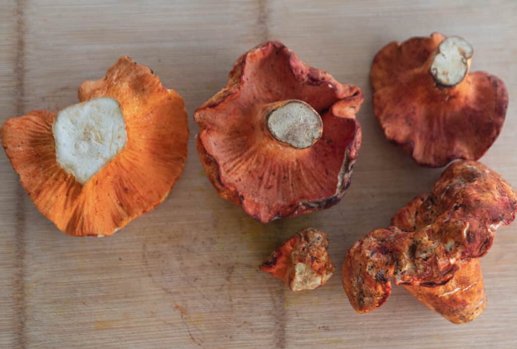 Reddish Orange and white mushrooms on a board