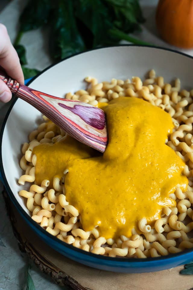 Creamy pumpkin sauce over pasta