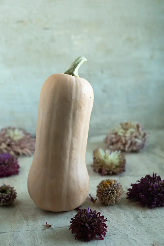 A raw butternut sqauash