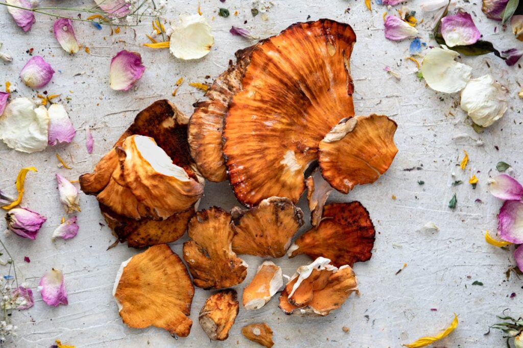 a flat lay of chicken of the woods on a white table with flower petals