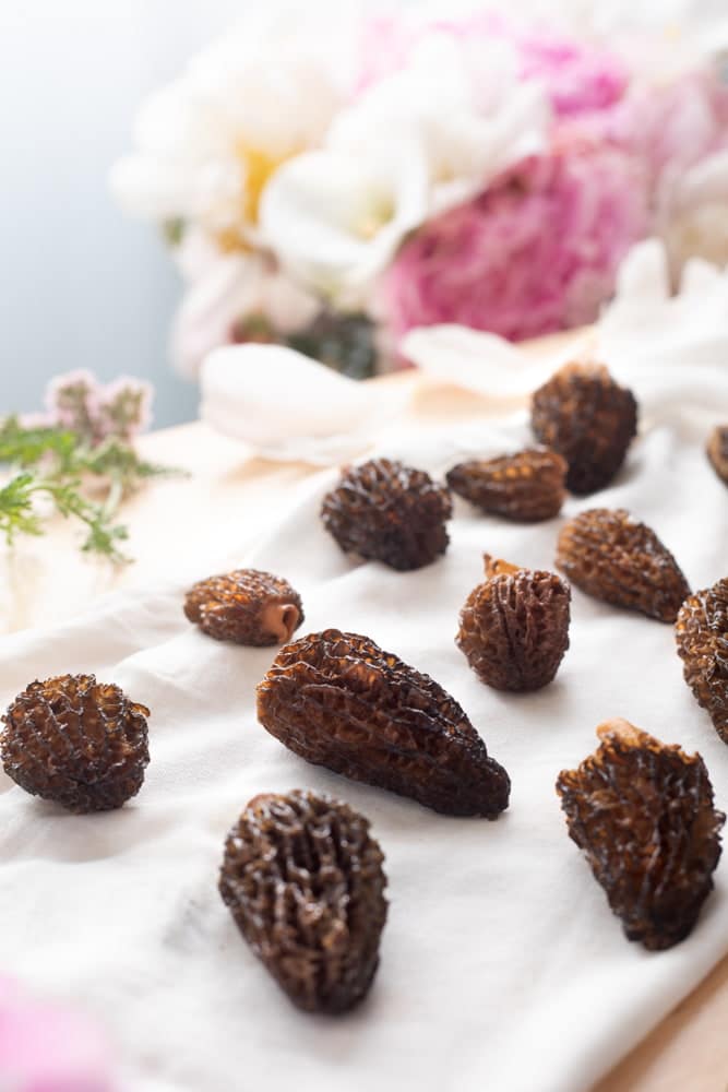 Fresh morels sitting on a white tea towel with flowers in the background