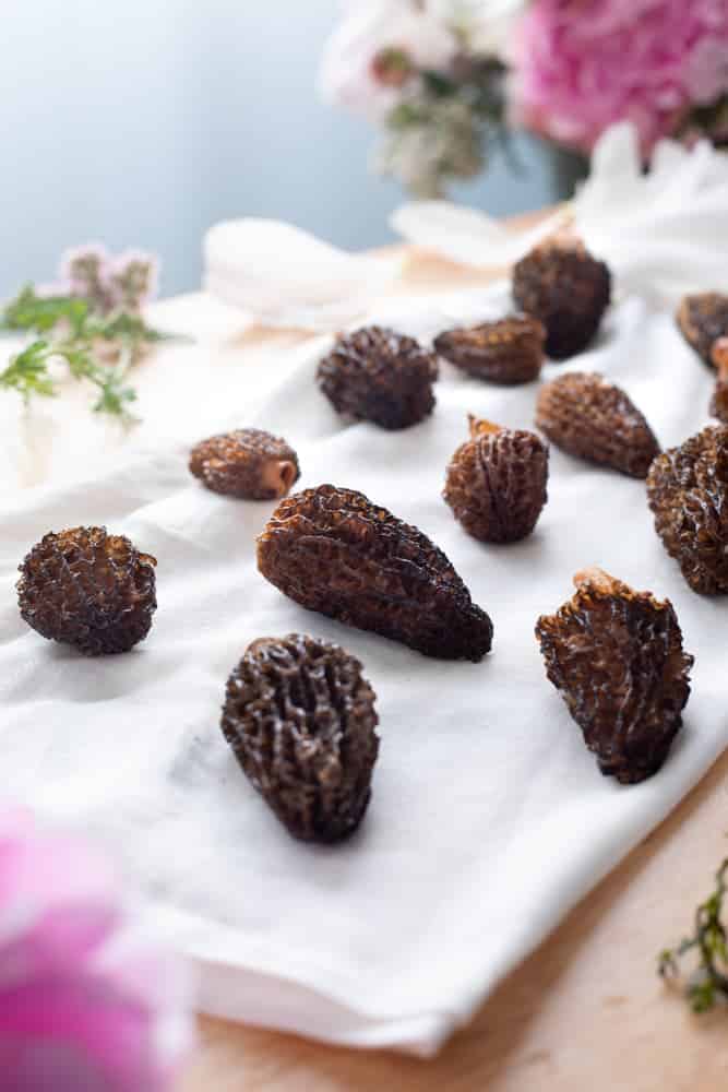 Fresh morels on a tea towel 