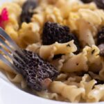 a plate of morel pasta with a fork going into a morel