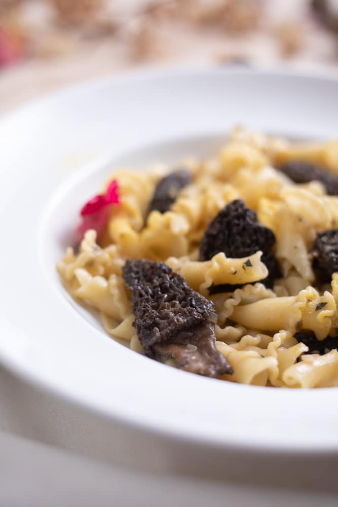 a plate filled with pasta and cooked morel mushrooms