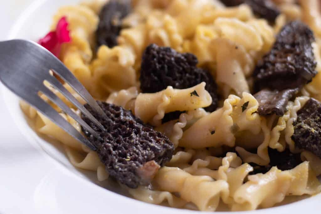 a fork going into a morel mushroom with pasta