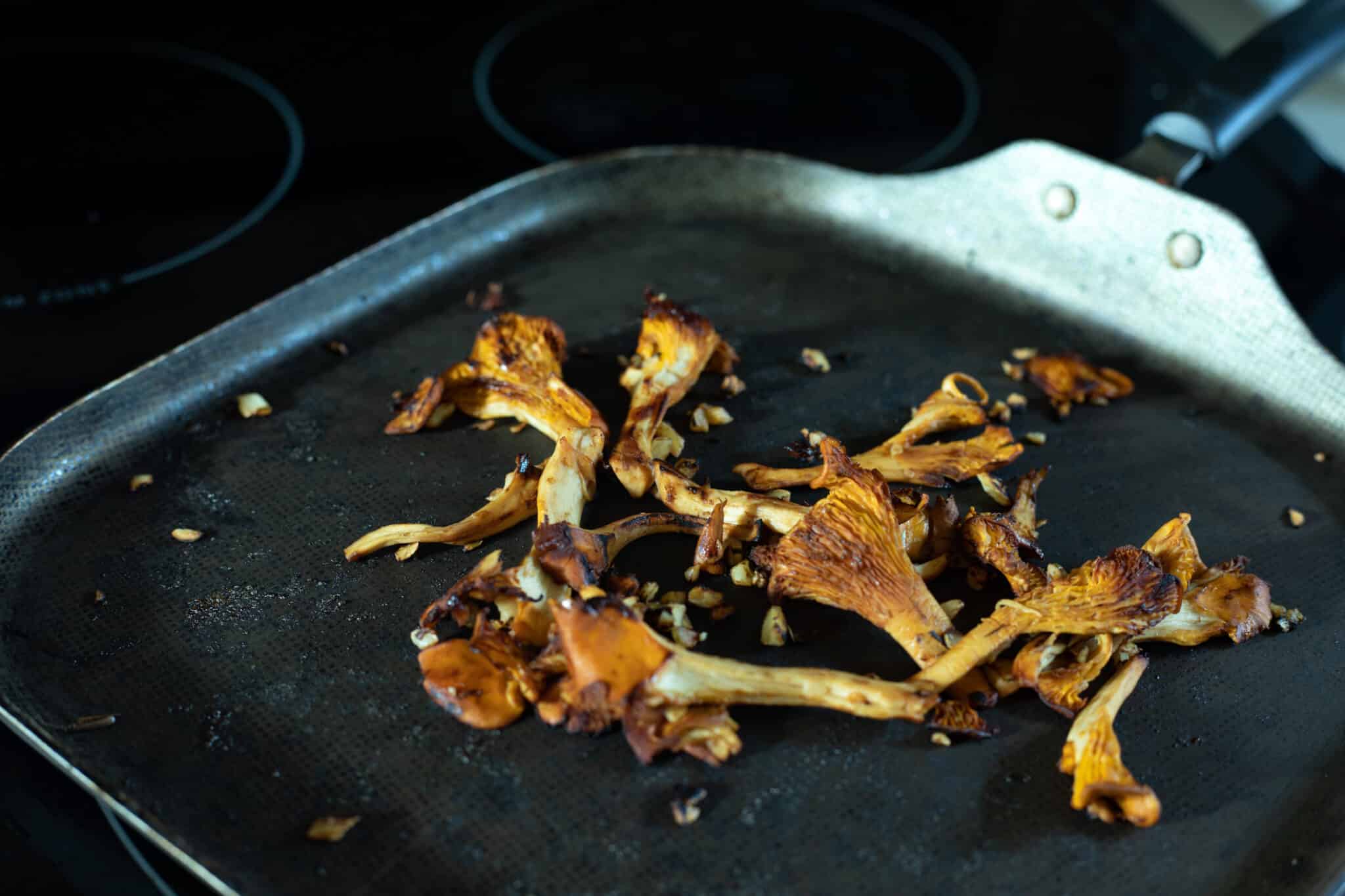 Chanterelle Toast Wild Vegan Flower