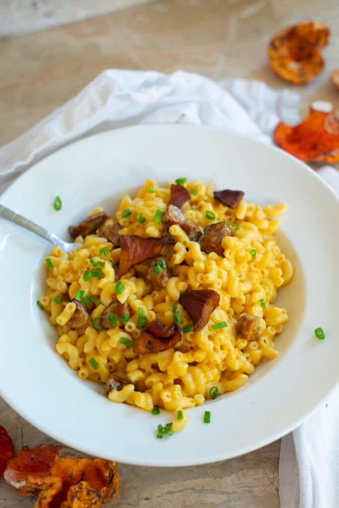 A white plate full of mac and cheese