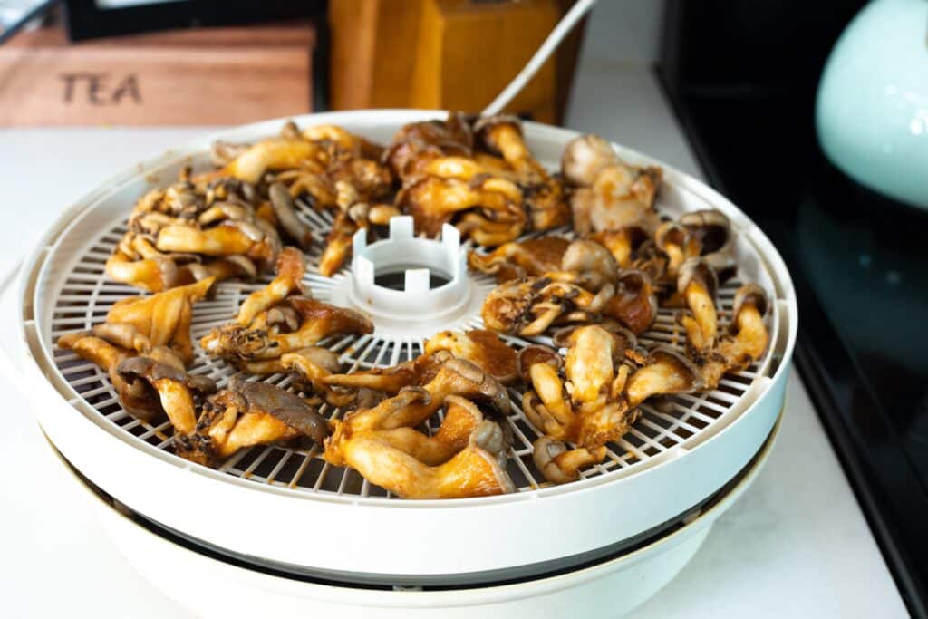 oyster mushrooms coated in sauce on a dehydrator
