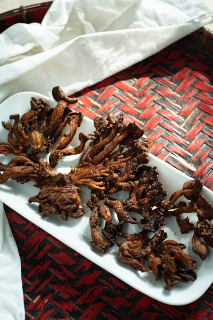 Homemade Mushroom Jerky (With a Dehydrator) (with a Dehydrator)