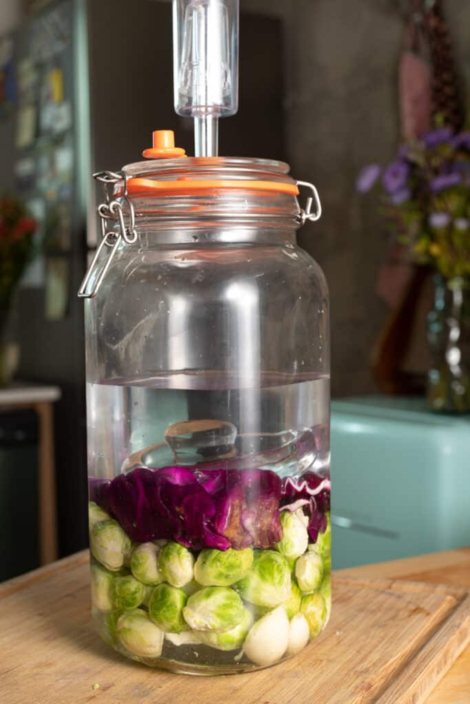 A fermentation jar on a wooden table that is filled with a clear brine, a cabbage leaf, and brussels sprouts