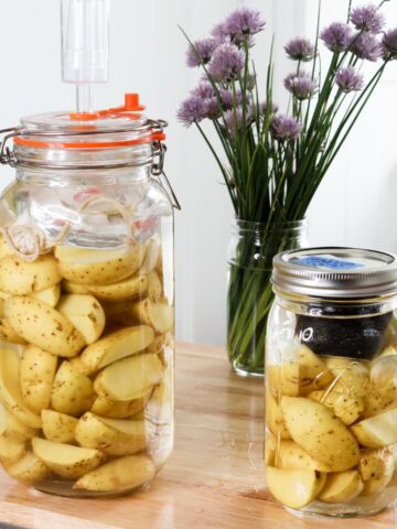 two jars of potatoes fermenting on a wooden table