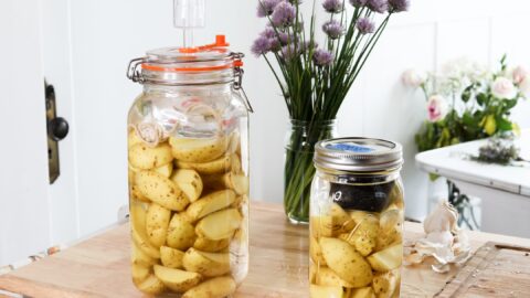 two jars of potatoes fermenting on a wooden table