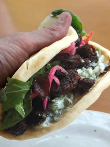 a person holding a seitan beef gyro